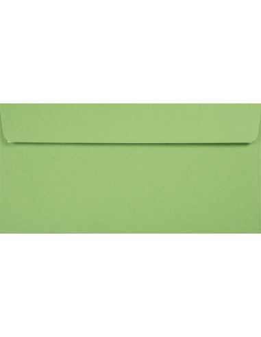 Plicuri decorative colorate ecologică DL 11x22 HK Kreative Apple verde 120g