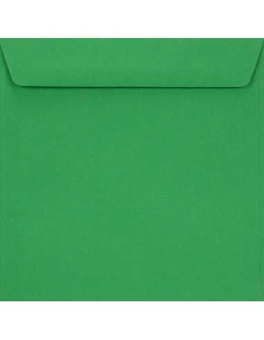 Plicuri decorative colorate pătrate K4 15,5x15,5 NK Burano Verde Bandiera verde 90g
