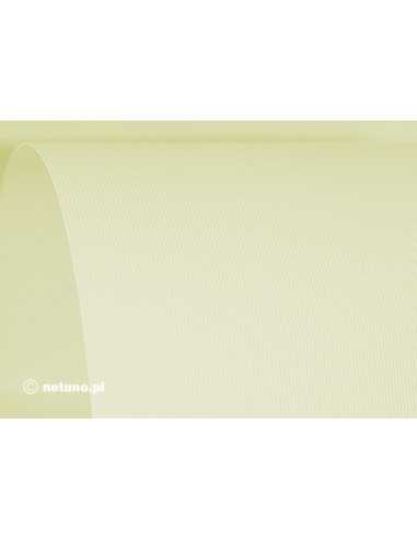 Hârtie decorativă texturată Aster 246g Ribbed alb 61x86 R100 1 buc.