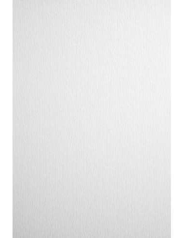 Hârtie decorativă colorată cu dungi texturate Nettuno 215g Bianco Artico alb buc. 10A4