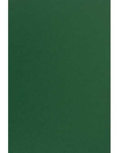 Hârtie decorativă colorată simplă Sirio Color 115g Foglia verde închis 70x100 R250 1 buc.