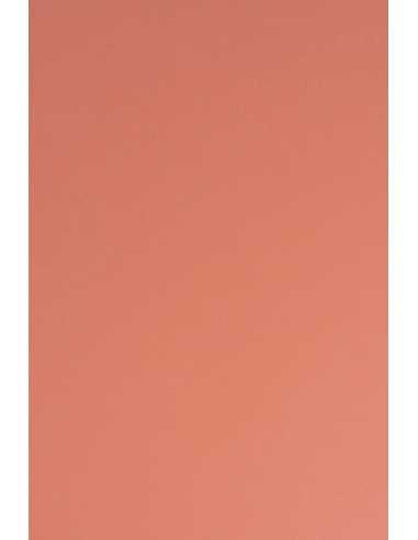 Hârtie decorativă colorată simplă Sirio Color 210g Flamingo roșu deshis 70x100 R125 1 buc.