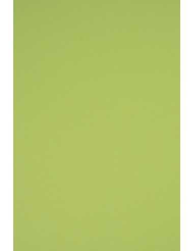 Hârtie decorativă colorată simplă Rainbow 230g R74 verde deshis buc. 10A3