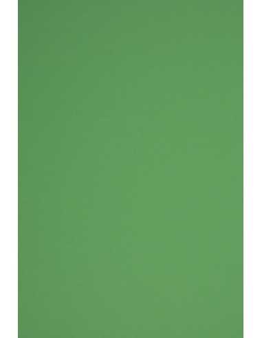Hârtie decorativă colorată simplă Rainbow 230g R78 verde închis buc. 10A3