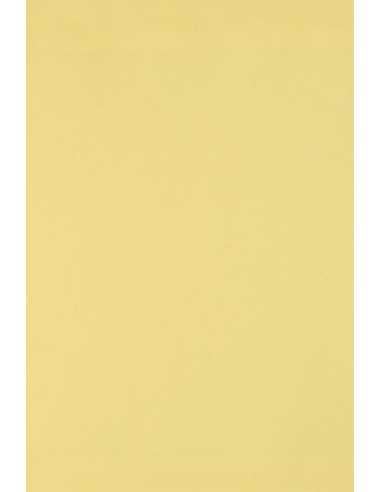 Hârtie decorativă colorată simplă Burano 250g Giallo B07 galben deschis buc. 10A3