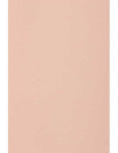 Hârtie decorativă colorată simplă Burano 250g Rosa B10 roz deschis buc. 10A3