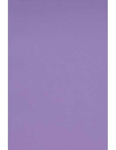 Hârtie decorativă colorată simplă Burano 250g Violet B49 violet buc. 10SRA3