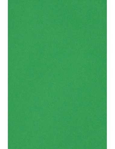 Hârtie decorativă colorată simplă Burano 250g Verde Bandiera B60 verde buc. 10A3