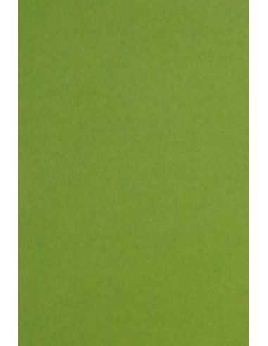 Hârtie decorativă colorată ecologică Keaykolour 300g Meadow verde buc. 10A4