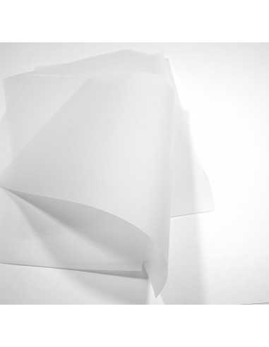 Hârtie decorativă transparentă netedă hârtie carbon Golden Star 100g Extra White alb 70x100 R250 1 buc.