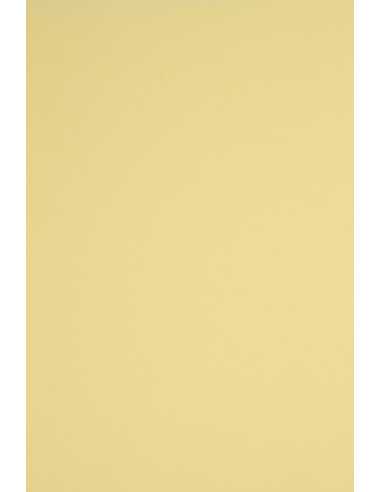 Hârtie decorativă colorată simplă Rainbow 230g R12 galben deshis buc. 10A5