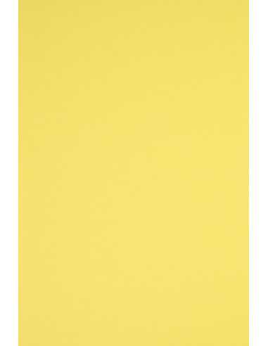 Hârtie decorativă colorată simplă Rainbow 230g R16 galben buc. 10A5
