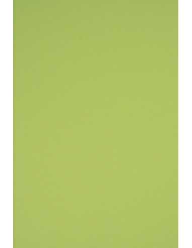 Hârtie decorativă colorată simplă Rainbow 230g R74 verde deshis buc. 10A5
