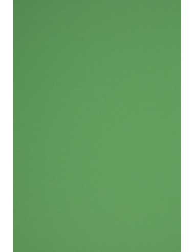 Hârtie decorativă colorată simplă Rainbow 230g R78 verde închis buc. 10A5