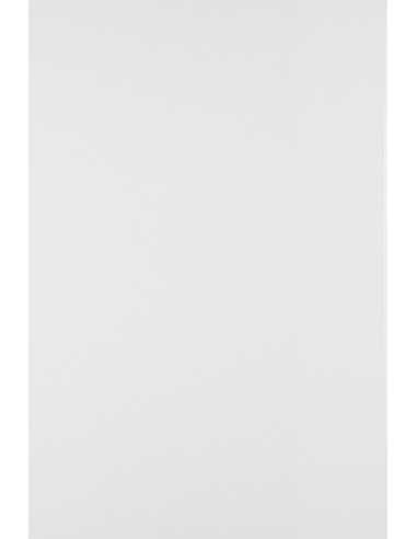 Hârtie decorativă simplă Arcoset 80g White alb 72x102 R500 1 buc.