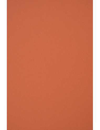 Hârtie decorativă colorată ecologică Materica 120g Terra Rossa roșu 72x102 R200 1 buc.