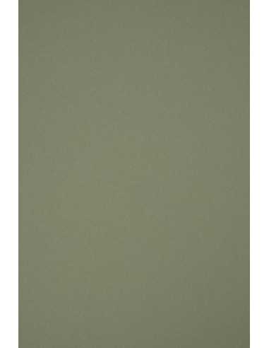 Hârtie decorativă colorată ecologică Materica 120g Verdigris verde 72x102 R200 1 buc.