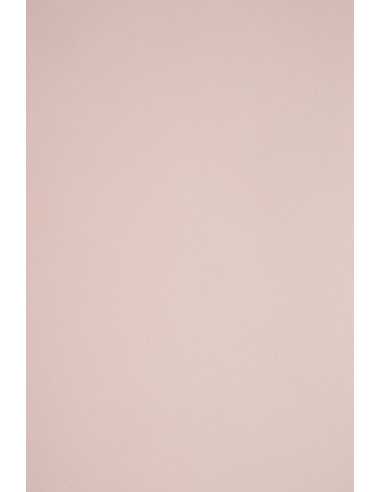 Hârtie decorativă colorată simplă Sirio Color 290g Nude roz pudră 70x100 R100 1 buc.
