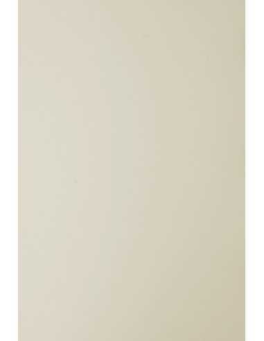 Hârtie decorativă colorată simplă Sirio Color 210g Sabbia bej 70x100 R125 1 buc.