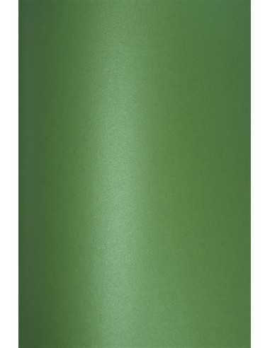 Papier Aster Met. 280g Christmas Green 72x100 R125