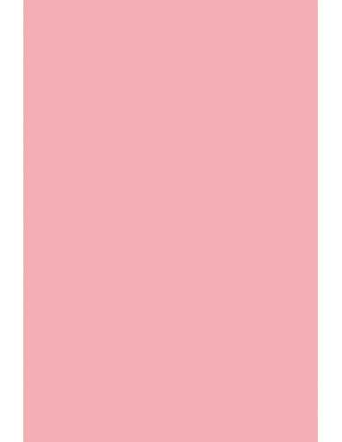 Hârtie decorativă colorată simplă Rainbow 160g R55 roz 45x64 10 buc.