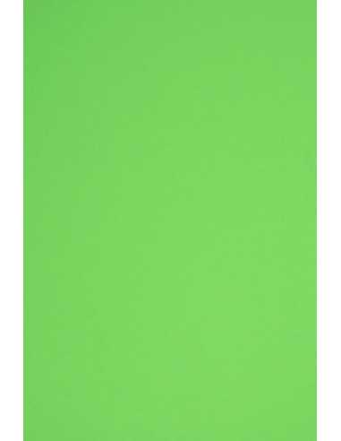 Hârtie decorativă colorată simplă Rainbow 160g R76 verde 45x64 10 buc.