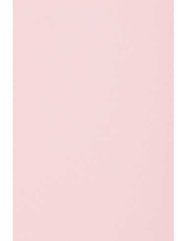 Hârtie decorativă colorată simplă Rainbow 230g R54 roz deshis buc. 10A3