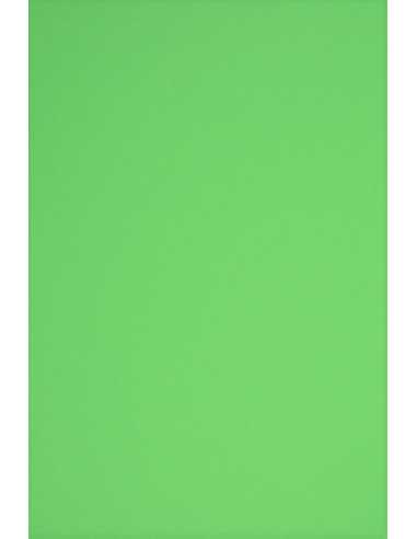Hârtie decorativă colorată simplă Rainbow 230g R76 verde buc. 10A3