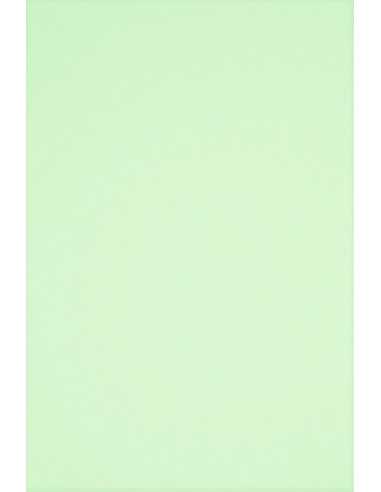 Hârtie decorativă colorată simplă Rainbow 80g R72 verde deshis 500A4