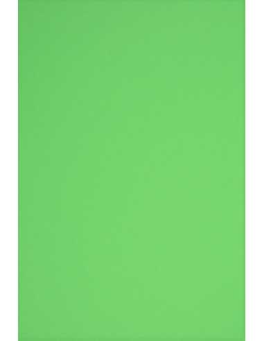 Hârtie decorativă colorată simplă Rainbow 80g R76 verde buc. 500A4