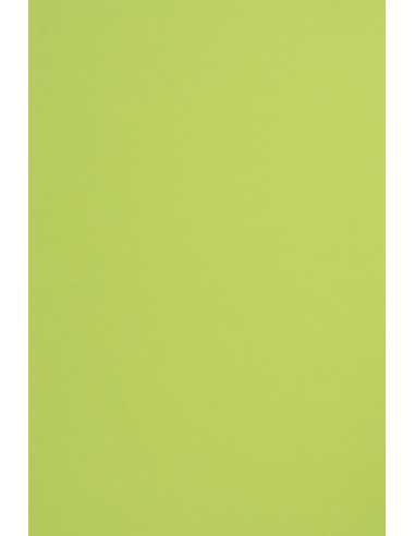 Hârtie decorativă colorată simplă Sirio Color 115g Lime verde deshis buc. 50A5