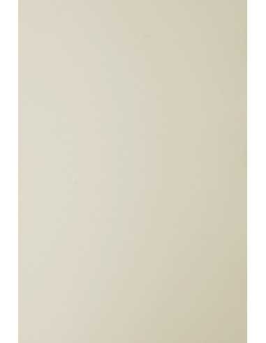Papier ozdobny gładki kolorowy Sirio Color 140g Sabbia beżowy 70x100 R200