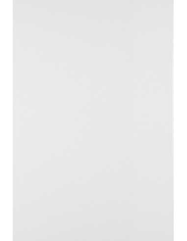 Hârtie decorativă simplă Arena 200g Smooth White alb 64x90 R125 1 buc.