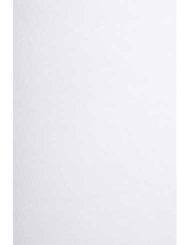 Hârtie decorativă simplă Arena 200g Smooth White alb 72x102 R125 1 buc.