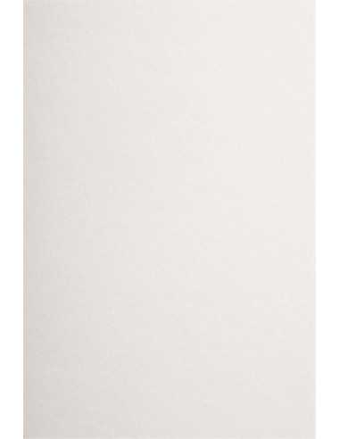 Hârtie decorativă colorată ecologică Materica 250g Gesso alb buc. 10A5