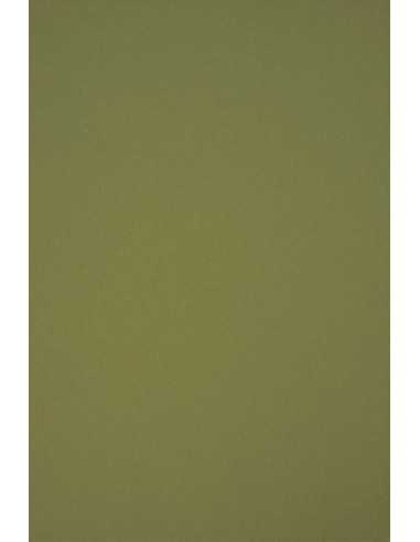 Hârtie decorativă colorată ecologică Circolor 160g Rosemary verde buc. 250A4