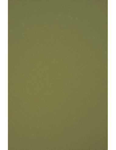 Hârtie decorativă colorată ecologică Circolor 80g Rosemary verde buc. 50A4