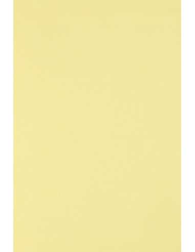 Hârtie decorativă colorată ecologică Circolor 80g Camomile galben deschis buc. 500A4