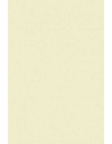 Hârtie simplă decorativă Olin 240g Regular Soft Cream ecru 72x102 1 buc.