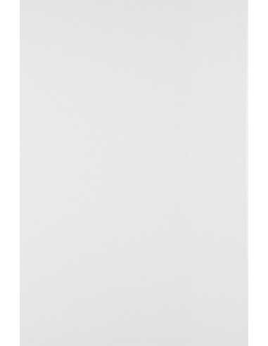 Hârtie simplă decorativă Olin 300g Regular Ultimate White alb 72x102 1 buc.