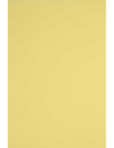 Curcubeu hârtie simplă colorată 160g R14 galben însorit 92x65 R125