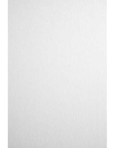 Hârtie decorativă texturată Nettuno 360g Bianco Artico alb 72x101 R125