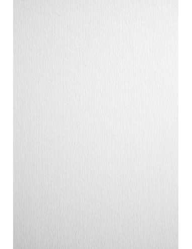 Hârtie decorativă texturată Nettuno 360g Bianco Artico buc. 10A4