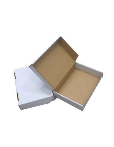 Carton B6 18x13x2,1cm 100buc.