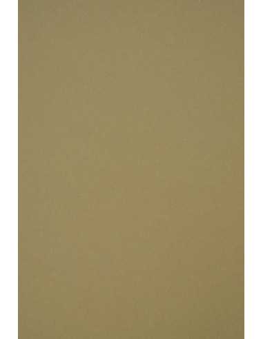 Hârtie decorativă de culoare deschisă Crush 250g Verde măsliniu 72x102 R100