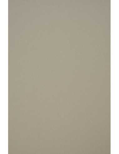 Materica Hârtie de argilă 120g gri decorativă netedă de culoare organică 72x102 R200