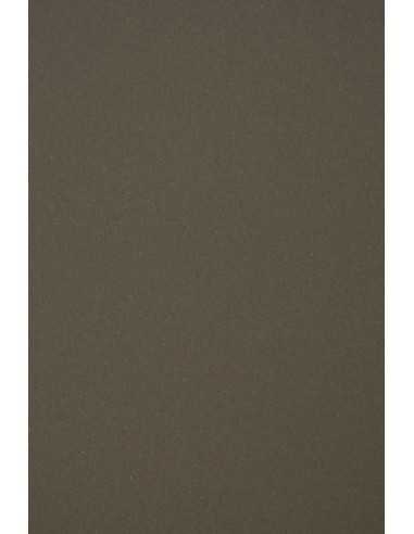 Hârtie Materica Pitch 120g c. maro decorativă netedă color organic 72x102 R200