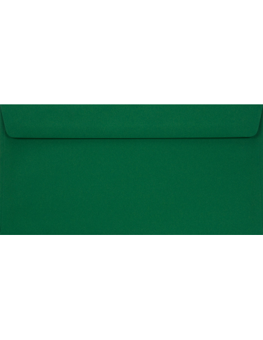 Plic simplu decorativ DL 11x22 HK Sirio Color Foglia verde 115g